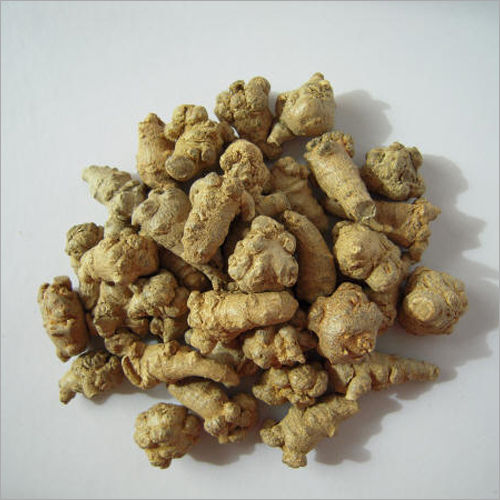 Notoginseng -