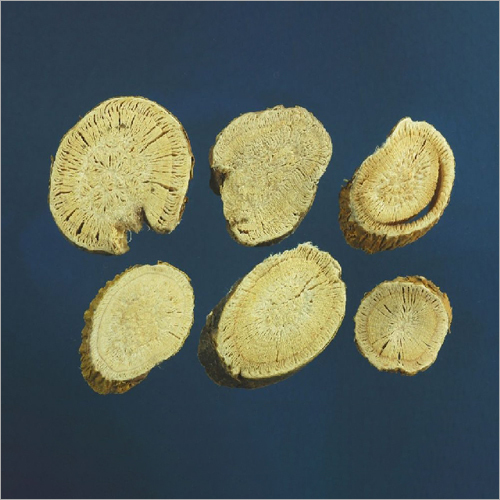 Radix Sophorae Flavescentis