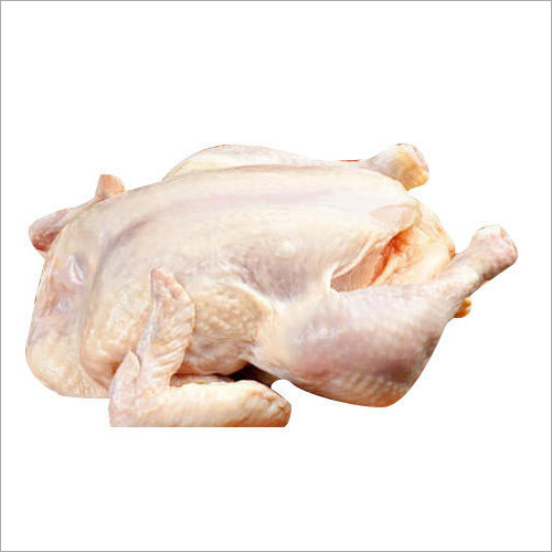 Halal Chicken Meat