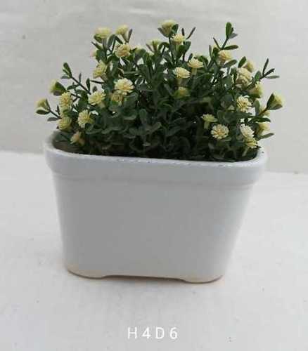 White  tub shape bonsai