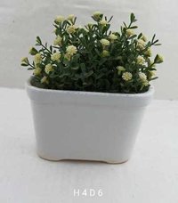 White  tub shape bonsai
