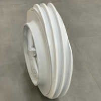 Standard Whitner Feed Screw