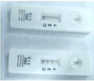 Rapid HIV TRI Line Test Card