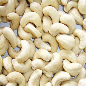 cashew trading company
