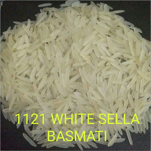 1121 White Basmati Rice - Cultivation Type: Common