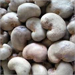Common Raw Cashew Nut