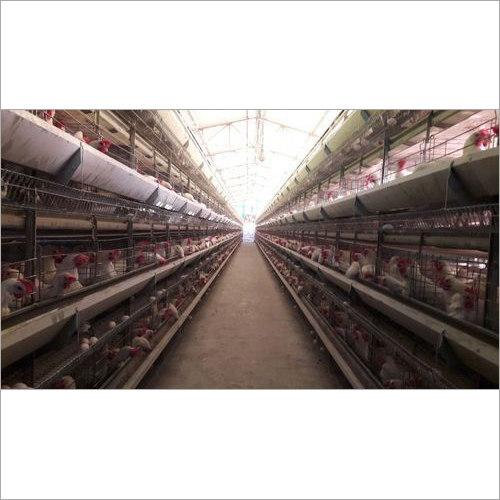 Durable Poultry Battery Cages