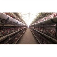 Poultry Battery Cages - Color: Gray