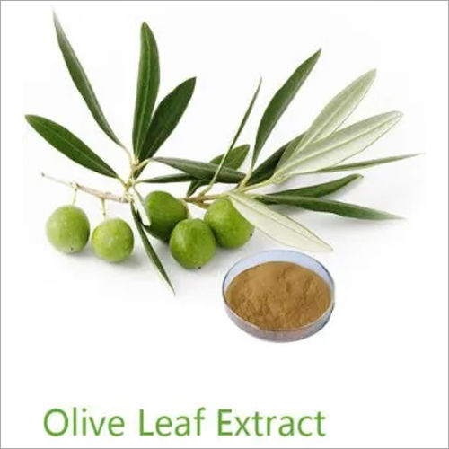 Olive Leaf extract