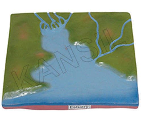 Estuary Model