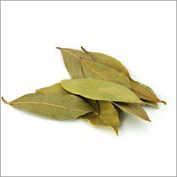 Bay Leaf