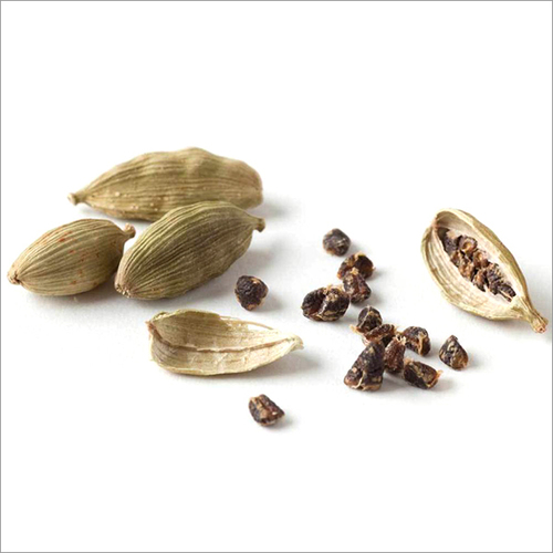 Cardamom