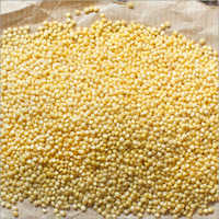 Millet Grain Shelf Life: 1 Years