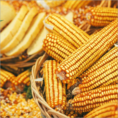 Natural Maize