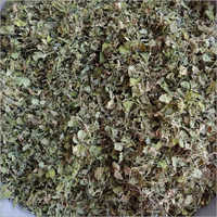 Normal Quality Fenugreek Leaf - Raw, 1 Year Shelf Life | Packaged For Safe Storage In Dry Place, Customizable Weight In Kilograms