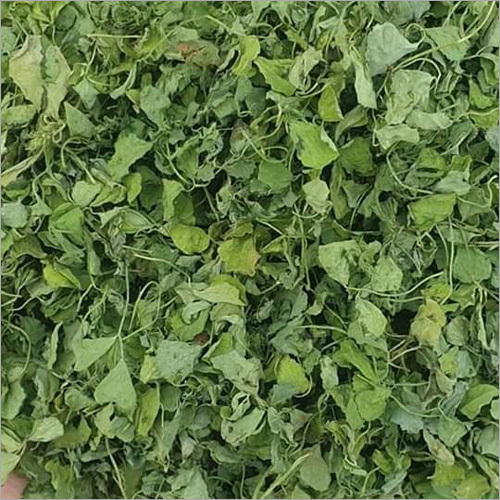 High Quality Fenugreek Leaf