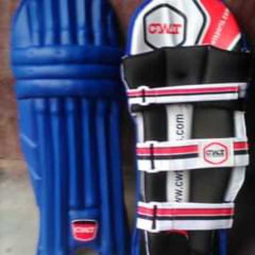 Cricket leg guards