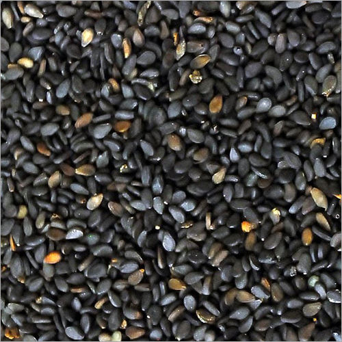 Common Black Sesame Seeds