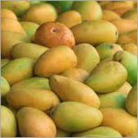 Common Kesar Mango