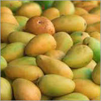 Common Kesar Mango