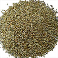 Fresh Millet Seed