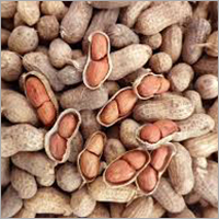 Natural Peanut