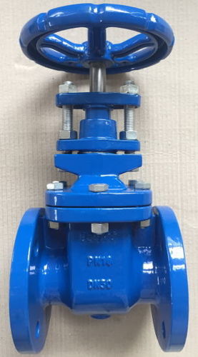 Flanged Gate Valve By INDIA VALVES INDUSTRIES