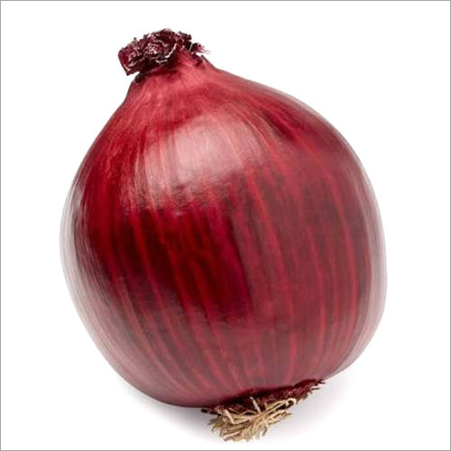 Fresh Red Onion