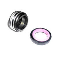 Spring Based Water Pump Seal
