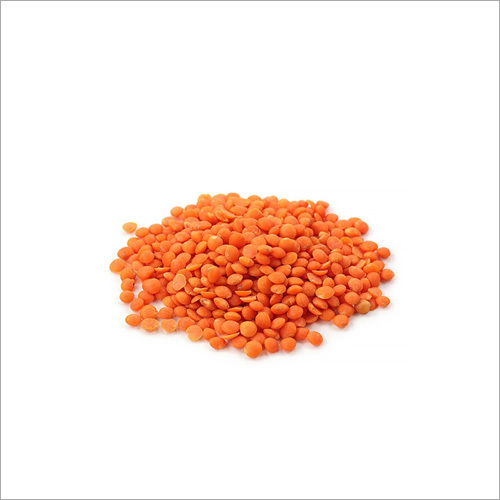 Masoor Dal - Granular Form | Natural Taste, Good Quality, Bulk Packaging for Cooking