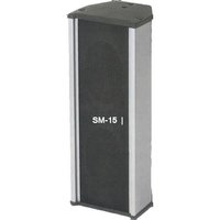 Ms Speaker Cabinet