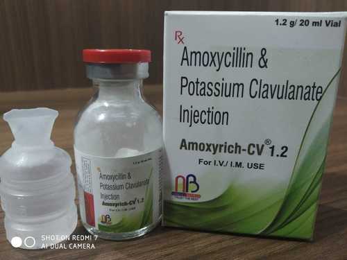 Amoxycillin Clavnate