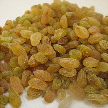 Common Organic Green Sweet Raisin