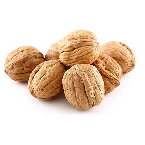 Common Organic Walnut