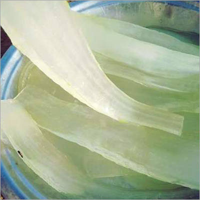 Organic Product Aloe Vera Pulp