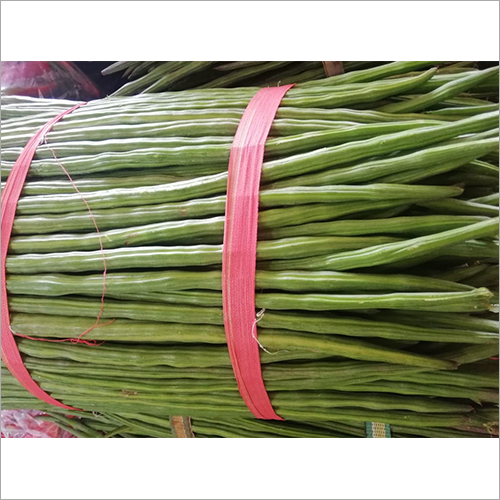 Fresh Drumstick - Natural Shape, Preserved Style | Enriched with Vitamins, Pure with Mild Aroma, Free from Artificial Flavors