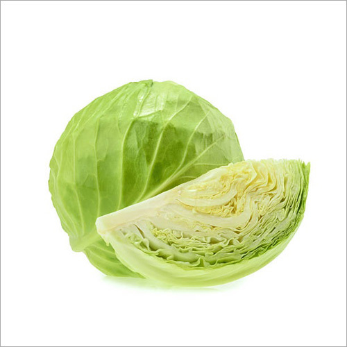 Fresh Cabbage Moisture (%): 2