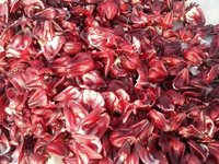 Dry Hibiscus Flowers And Leaves