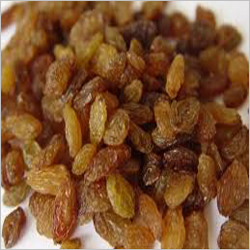 Raisin
