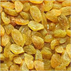 Golden Raisin