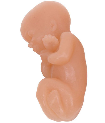 Full size fetus