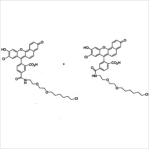 Water for HPLC and Spectroscopy