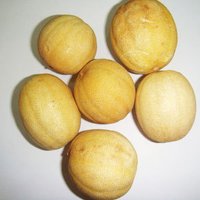 Yellow Dry Lemon