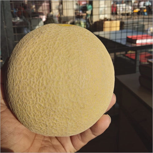 Organic Orange Flesh Muskmelon