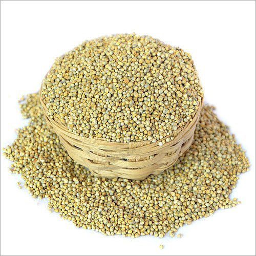 Organic Fresh Pearl Millets