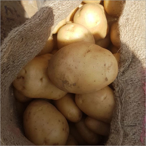 Fresh Potato - Natural Shape, 7-10 Days Shelf Life | Versatile Low-Calorie Vegetable, Ideal for Various Cooking Methods