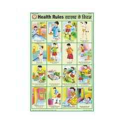 Health & Hygine charts