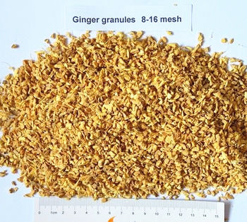 Ginger Granules Manufacturer Exporter India