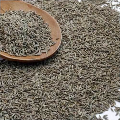 Dried Cumin Seeds