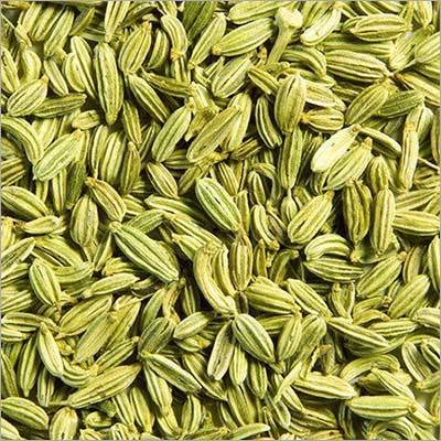 Fresh Fennel Seeds By THE NATURAL INTERNATIONAL